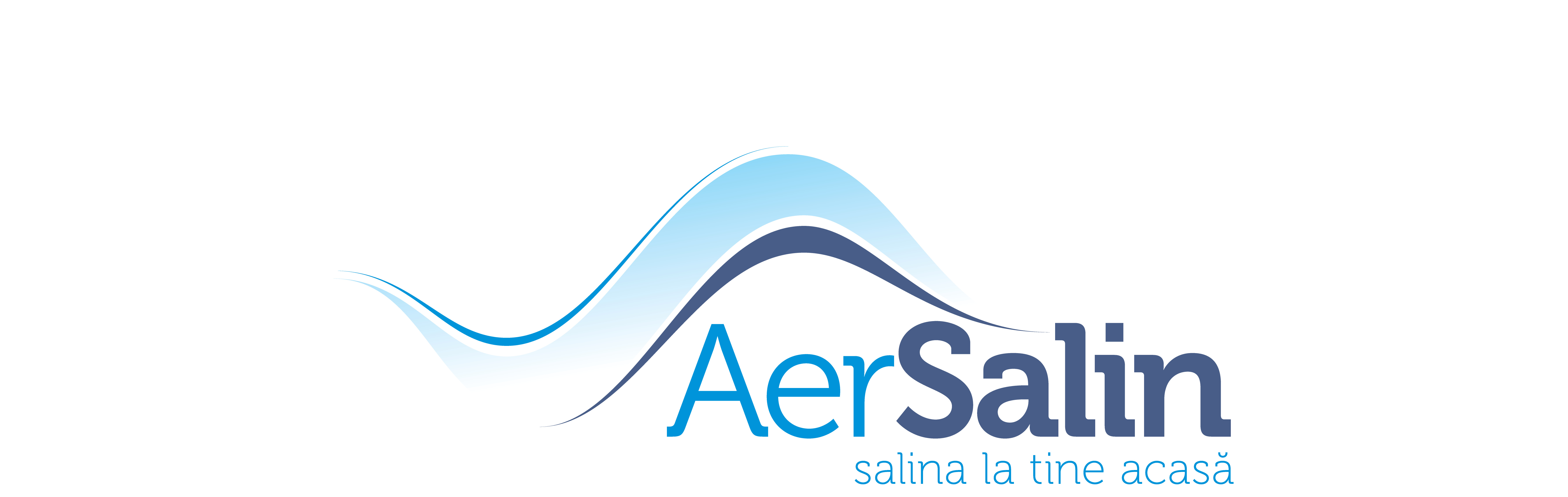 logo_Aer-salin
